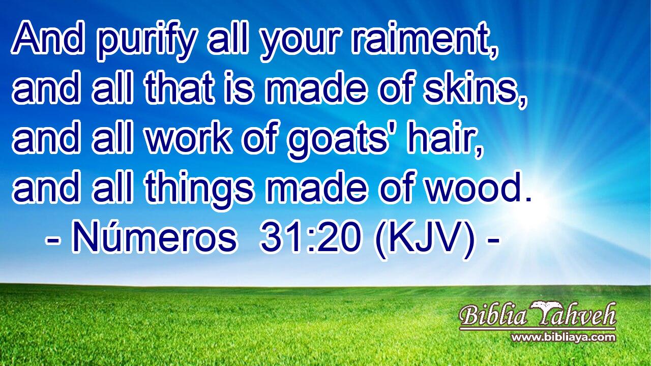 And purify all your raiment, and all that is made of skins, and all work of goats' hair, and all things made of wood.
