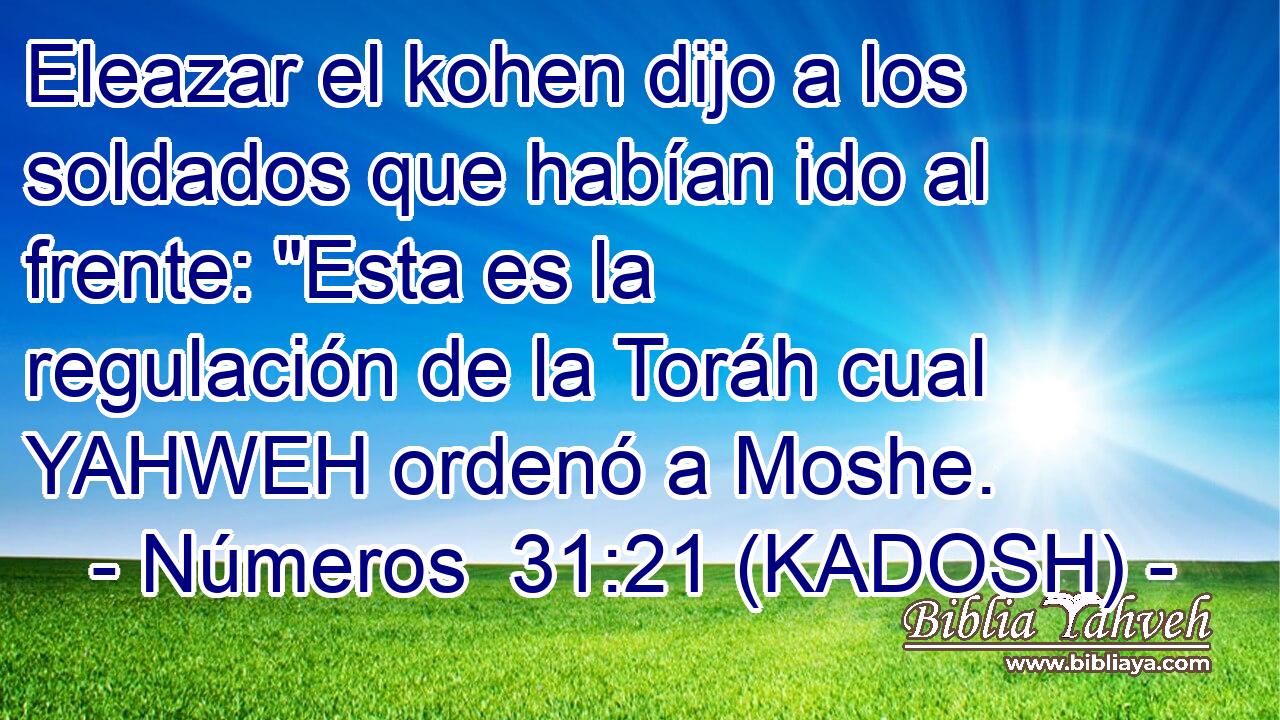  Eleazar el kohen dijo a los soldados que habían ido al frente: 