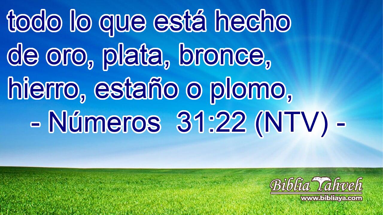 todo lo que está hecho de oro, plata, bronce, hierro, estaño o plomo,