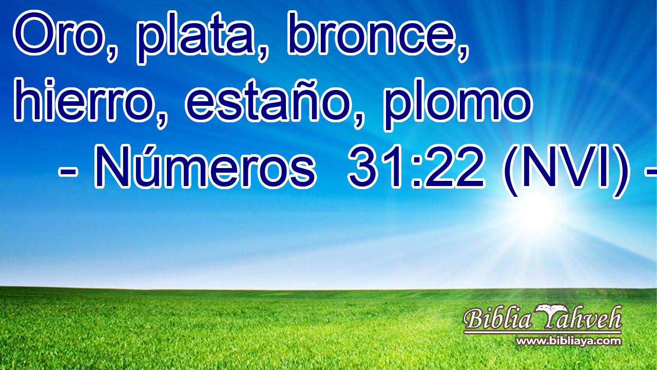  Oro, plata, bronce, hierro, estaño, plomo 