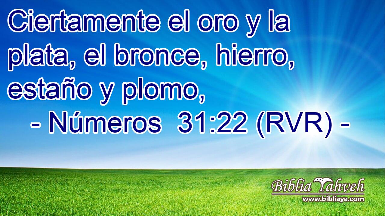 Ciertamente el oro y la plata, el bronce, hierro, estaño y plomo,
