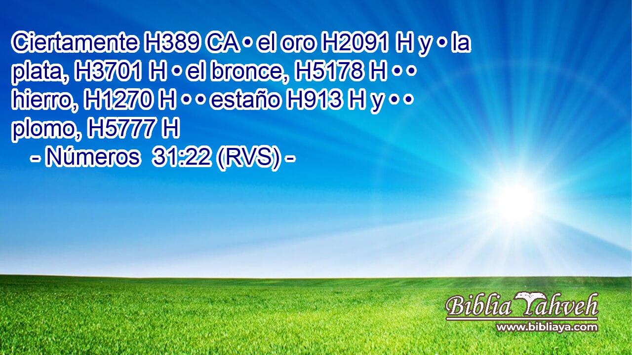 Ciertamente H389 CA • el oro H2091 H y • la plata, H3701 H • el bronce, H5178 H • • hierro, H1270 H • • estaño H913 H y • • plomo, H5777 H 