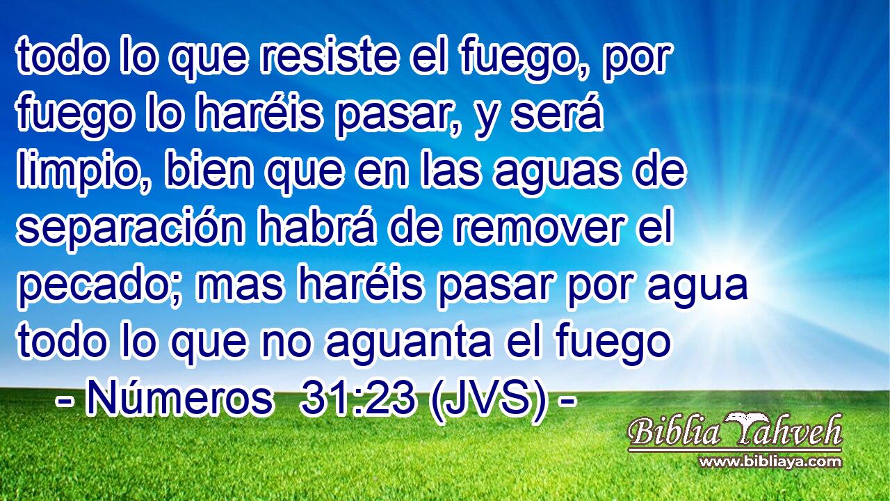 todo lo que resiste el fuego, por fuego lo haréis pasar, y será limpio, bien que en las aguas de separación habrá de remover el pecado; mas haréis pasar por agua todo lo que no aguanta el fuego