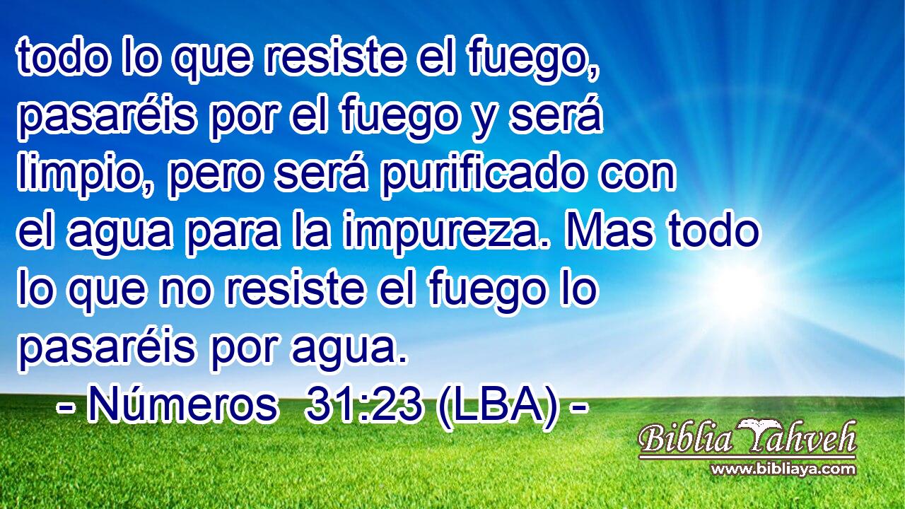 todo lo que resiste el fuego, pasaréis por el fuego y será limpio, pero será purificado con el agua para la impureza. Mas todo lo que no resiste el fuego lo pasaréis por agua.