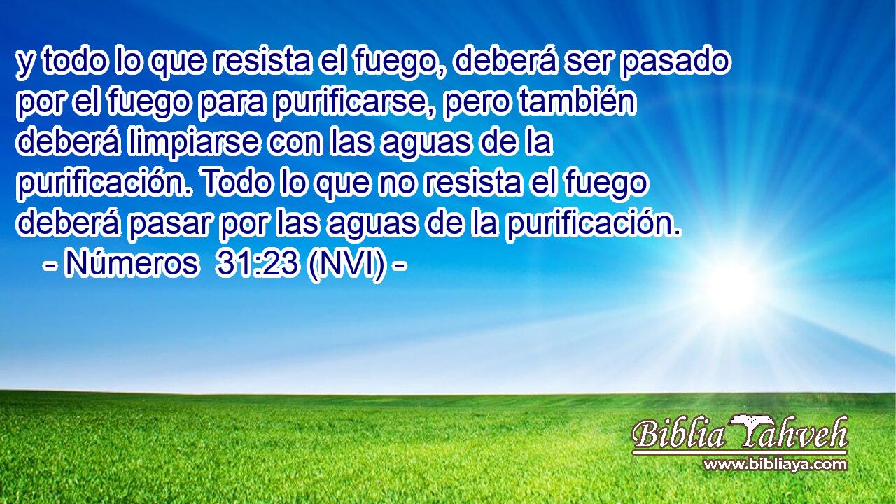  y todo lo que resista el fuego, deberá ser pasado por el fuego para purificarse, pero también deberá limpiarse con las aguas de la purificación. Todo lo que no resista el fuego deberá pasar por las aguas de la purificación. 