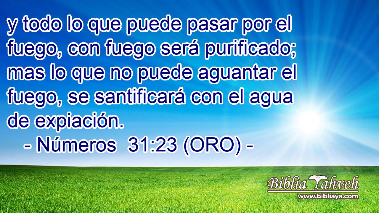  y todo lo que puede pasar por el fuego, con fuego será purificado; mas lo que no puede aguantar el fuego, se santificará con el agua de expiación. 