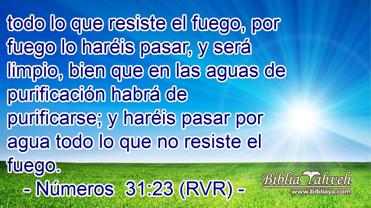 todo lo que resiste el fuego, por fuego lo haréis pasar, y será limpio, bien que en las aguas de purificación habrá de purificarse; y haréis pasar por agua todo lo que no resiste el fuego.