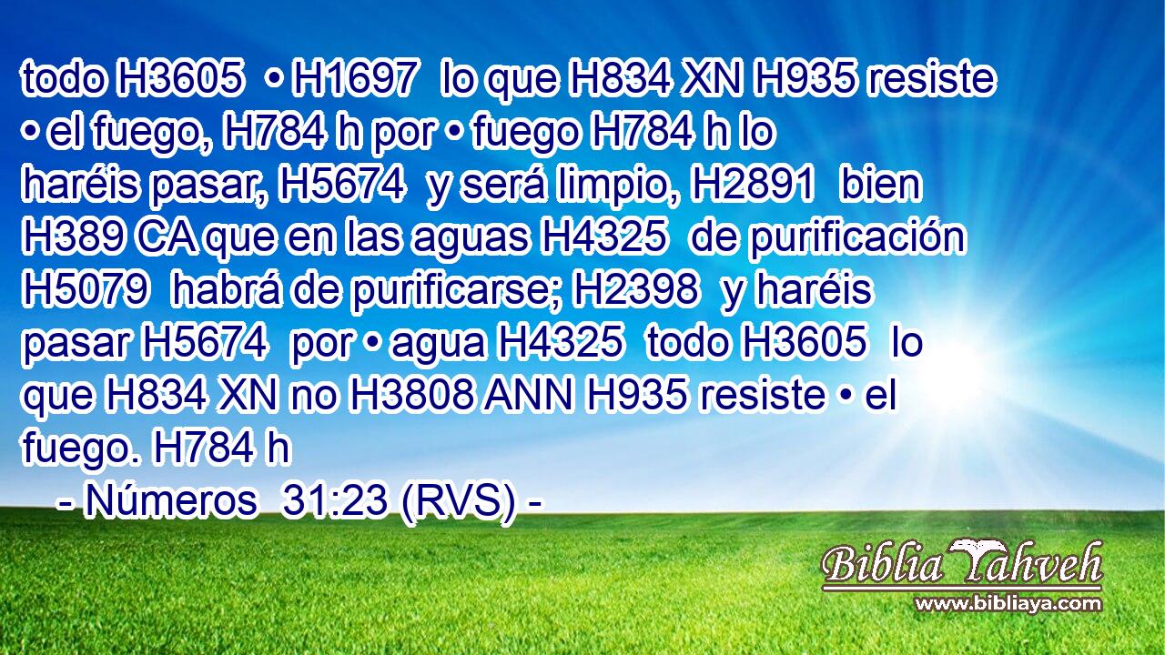 todo H3605  • H1697  lo que H834 XN H935 resiste • el fuego, H784 h por • fuego H784 h lo haréis pasar, H5674  y será limpio, H2891  bien H389 CA que en las aguas H4325  de purificación H5079  habrá de purificarse; H2398  y haréis pasar H5674  por • agua H4325  todo H3605  lo que H834 XN no H3808 ANN H935 resiste • el fuego. H784 h 