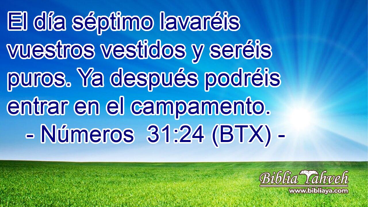 El día séptimo lavaréis vuestros vestidos y seréis puros. Ya después podréis entrar en el campamento.