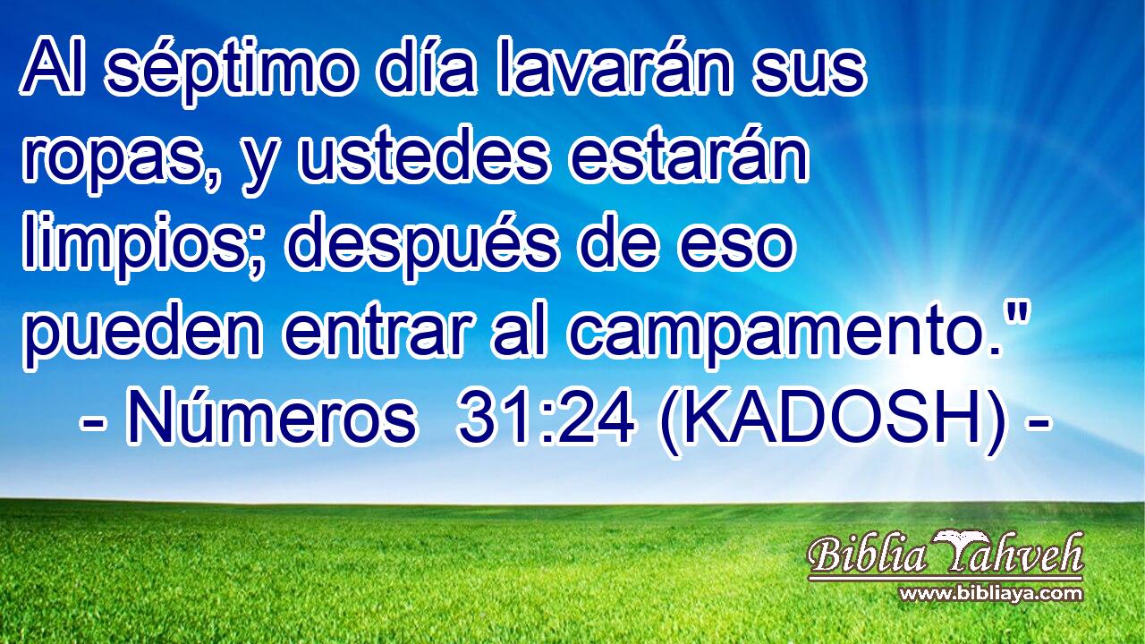  Al séptimo día lavarán sus ropas, y ustedes estarán limpios; después de eso pueden entrar al campamento.