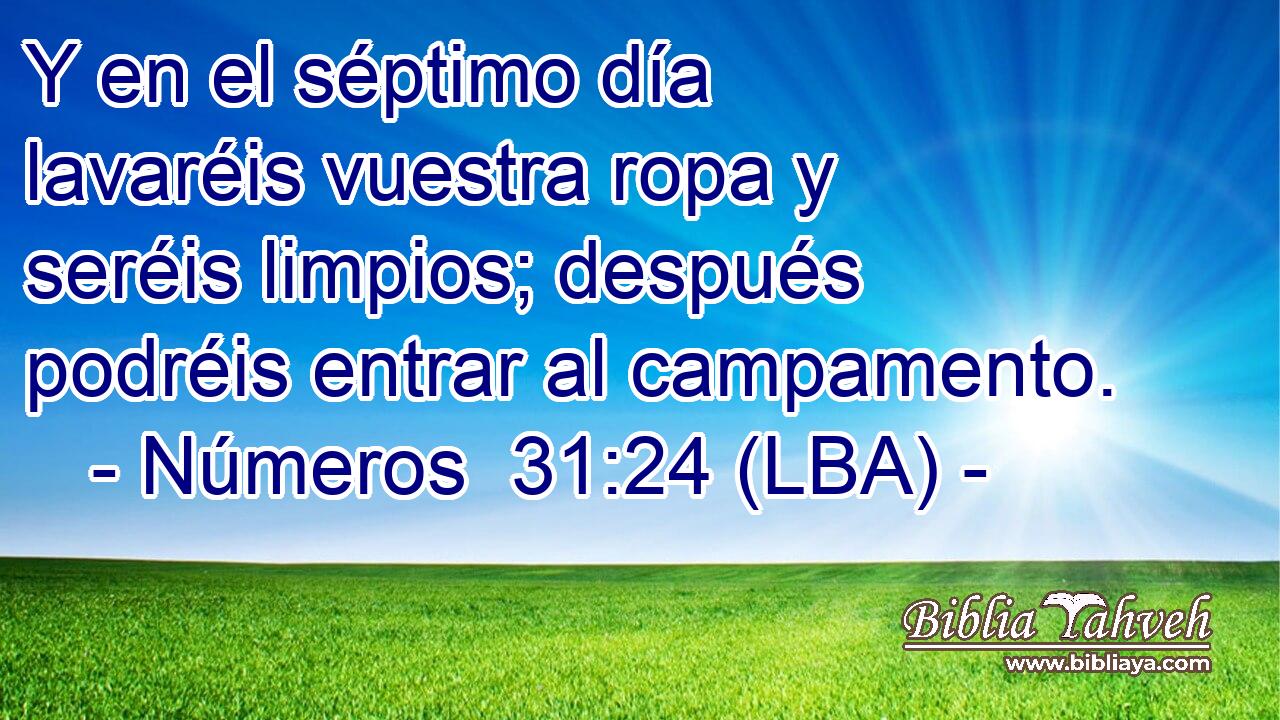 Y en el séptimo día lavaréis vuestra ropa y seréis limpios; después podréis entrar al campamento.