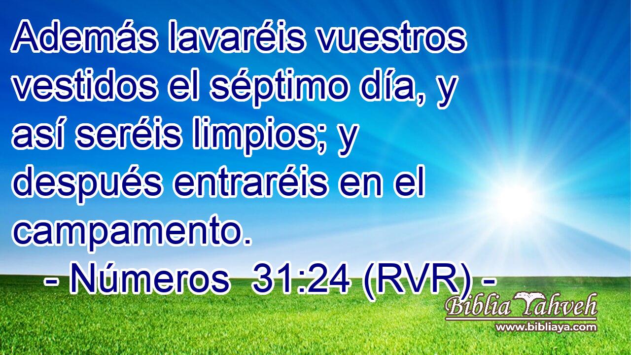 Además lavaréis vuestros vestidos el séptimo día, y así seréis limpios; y después entraréis en el campamento.