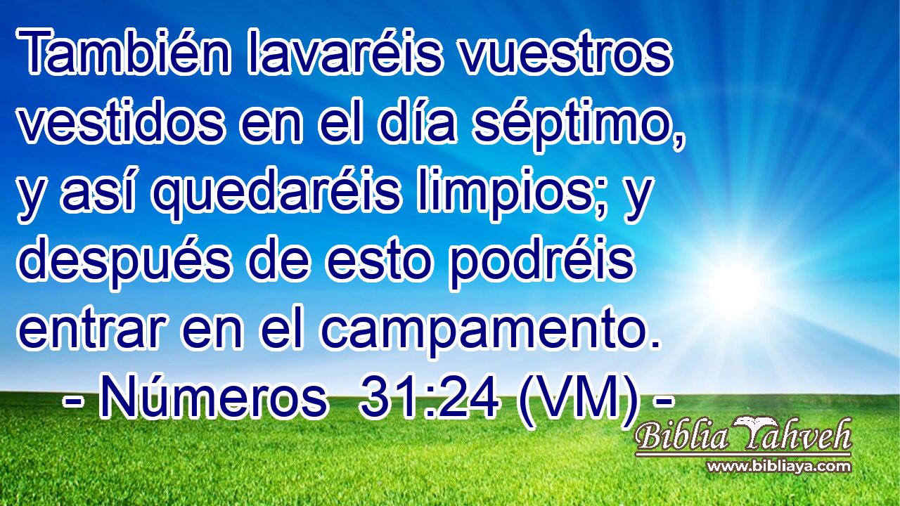  También lavaréis vuestros vestidos en el día séptimo, y así quedaréis limpios; y después de esto podréis entrar en el campamento. 