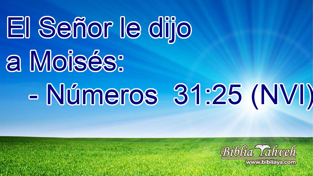  El Señor le dijo a Moisés: 