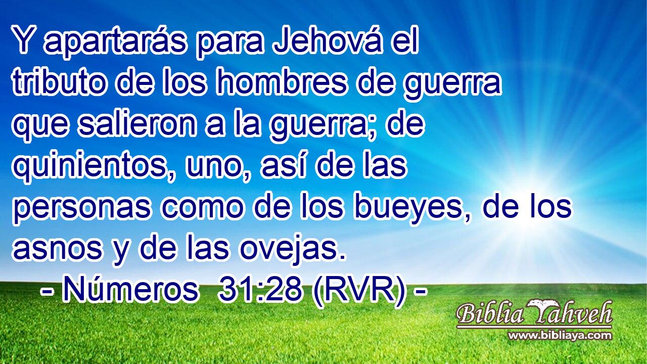 Y apartarás para Jehová el tributo de los hombres de guerra que salieron a la guerra; de quinientos, uno, así de las personas como de los bueyes, de los asnos y de las ovejas.