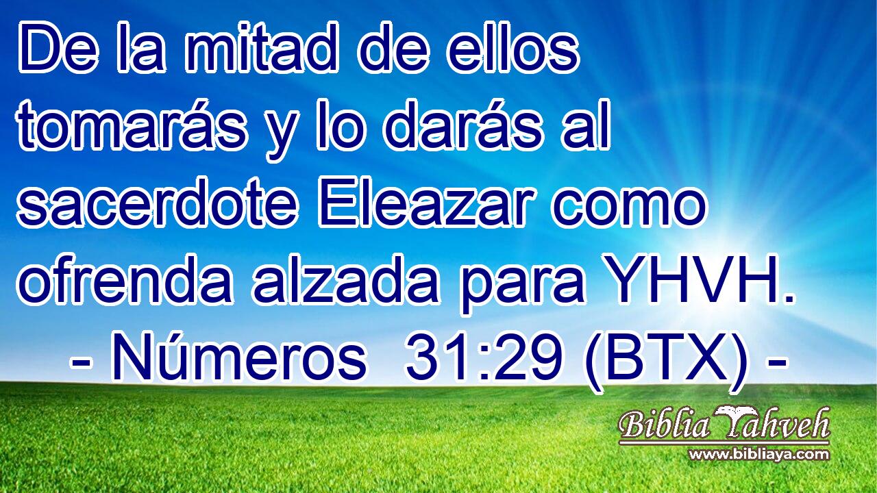 De la mitad de ellos tomarás y lo darás al sacerdote Eleazar como ofrenda alzada para YHVH.
