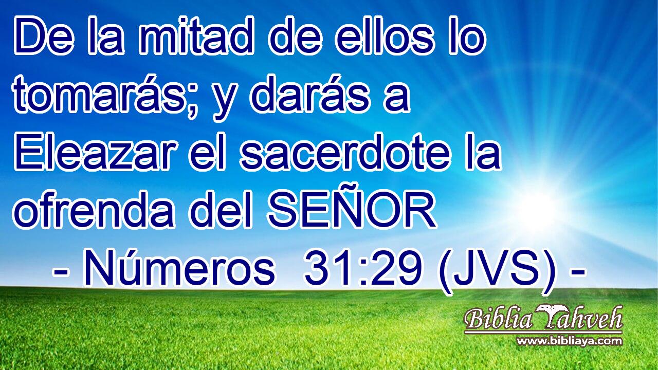 De la mitad de ellos lo tomarás; y darás a Eleazar el sacerdote la ofrenda del SEÑOR