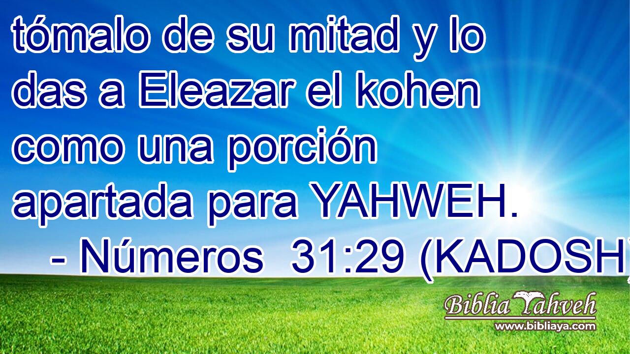  tómalo de su mitad y lo das a Eleazar el kohen como una porción apartada para YAHWEH. 