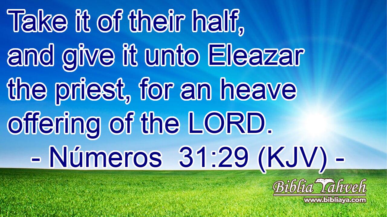 Take it of their half, and give it unto Eleazar the priest, for an heave offering of the LORD.