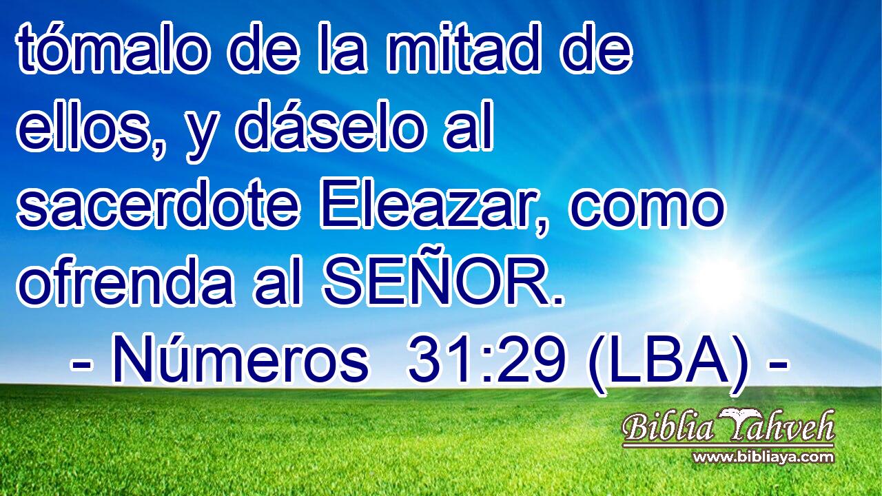 tómalo de la mitad de ellos, y dáselo al sacerdote Eleazar, como ofrenda al SEÑOR.