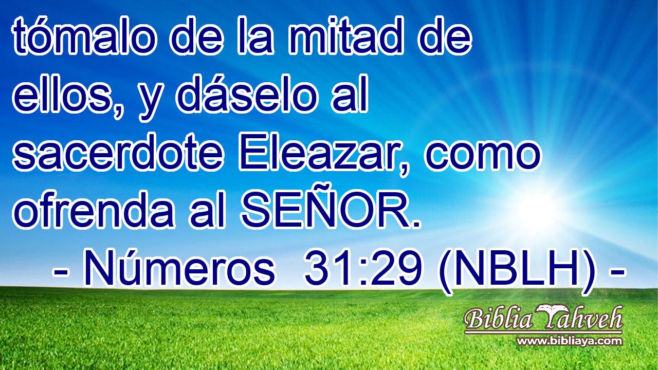  tómalo de la mitad de ellos, y dáselo al sacerdote Eleazar, como ofrenda al SEÑOR. 