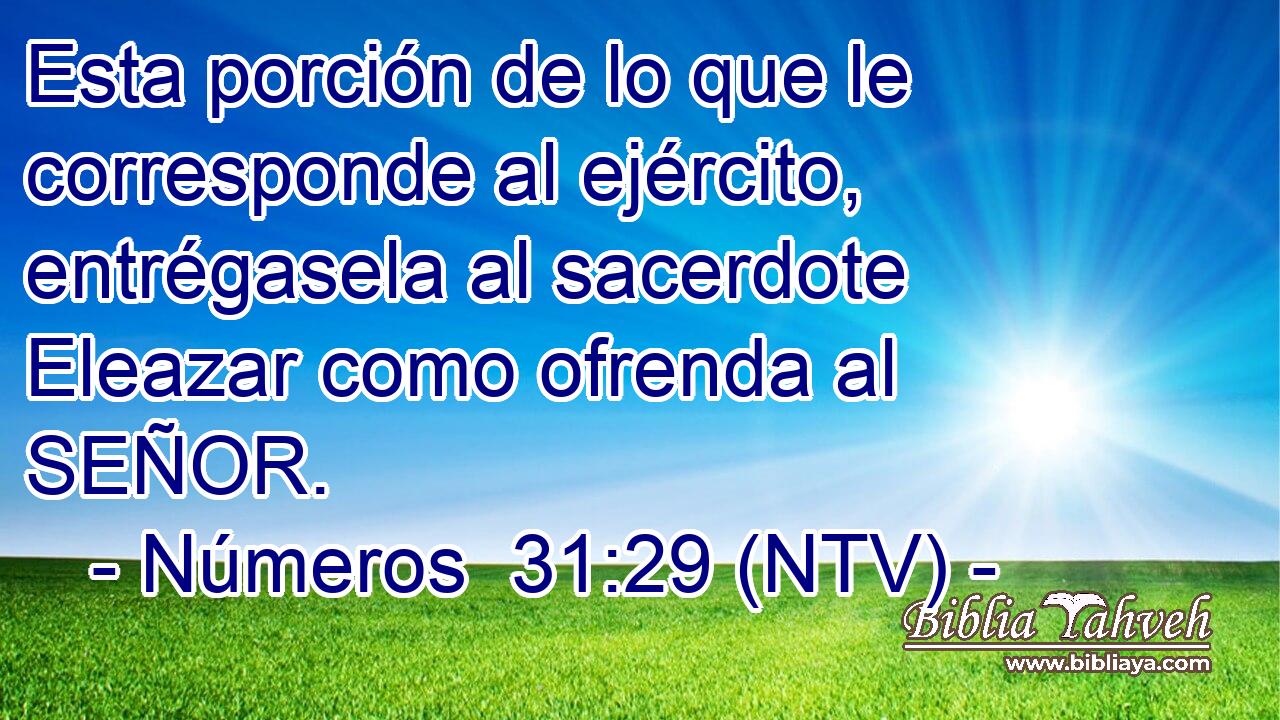 Esta porción de lo que le corresponde al ejército, entrégasela al sacerdote Eleazar como ofrenda al SEÑOR.