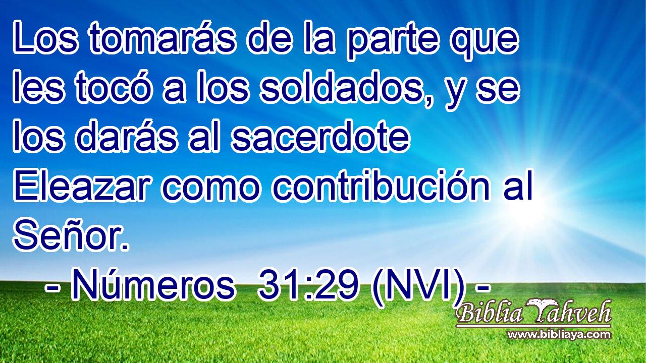  Los tomarás de la parte que les tocó a los soldados, y se los darás al sacerdote Eleazar como contribución al Señor. 