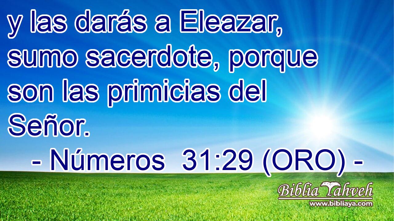  y las darás a Eleazar, sumo sacerdote, porque son las primicias del Señor. 