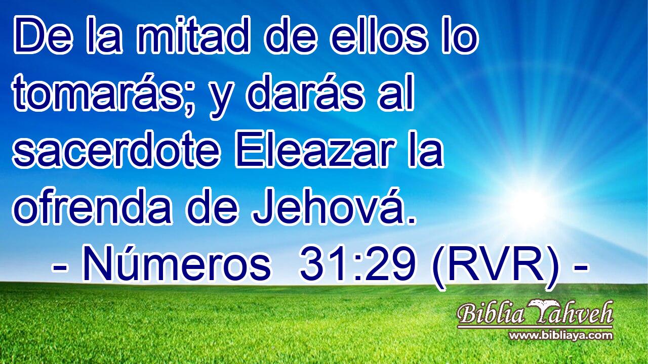 De la mitad de ellos lo tomarás; y darás al sacerdote Eleazar la ofrenda de Jehová.