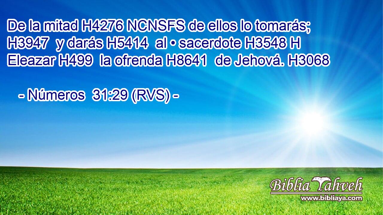 De la mitad H4276 NCNSFS de ellos lo tomarás; H3947  y darás H5414  al • sacerdote H3548 H Eleazar H499  la ofrenda H8641  de Jehová. H3068  