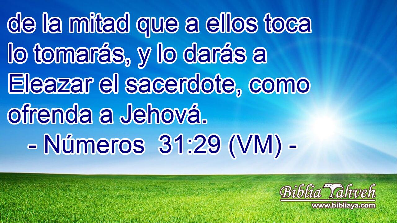  de la mitad que a ellos toca lo tomarás, y lo darás a Eleazar el sacerdote, como ofrenda a Jehová. 