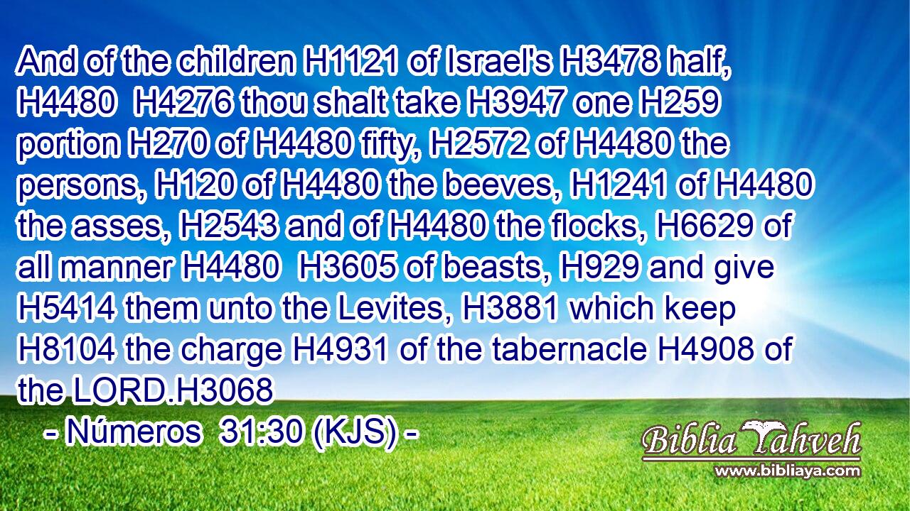 And of the children H1121 of Israel's H3478 half, H4480  H4276 thou shalt take H3947 one H259 portion H270 of H4480 fifty, H2572 of H4480 the persons, H120 of H4480 the beeves, H1241 of H4480 the asses, H2543 and of H4480 the flocks, H6629 of all manner H4480  H3605 of beasts, H929 and give H5414 them unto the Levites, H3881 which keep H8104 the charge H4931 of the tabernacle H4908 of the LORD.H3068