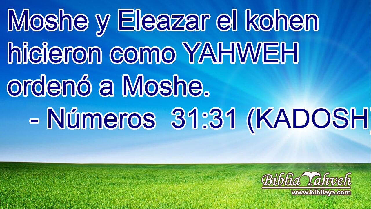  Moshe y Eleazar el kohen hicieron como YAHWEH ordenó a Moshe. 