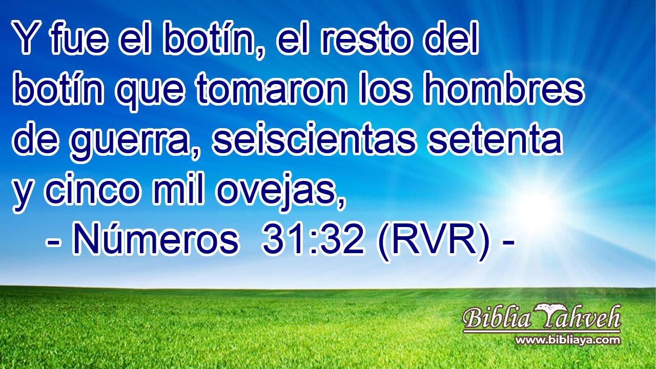 Y fue el botín, el resto del botín que tomaron los hombres de guerra, seiscientas setenta y cinco mil ovejas,