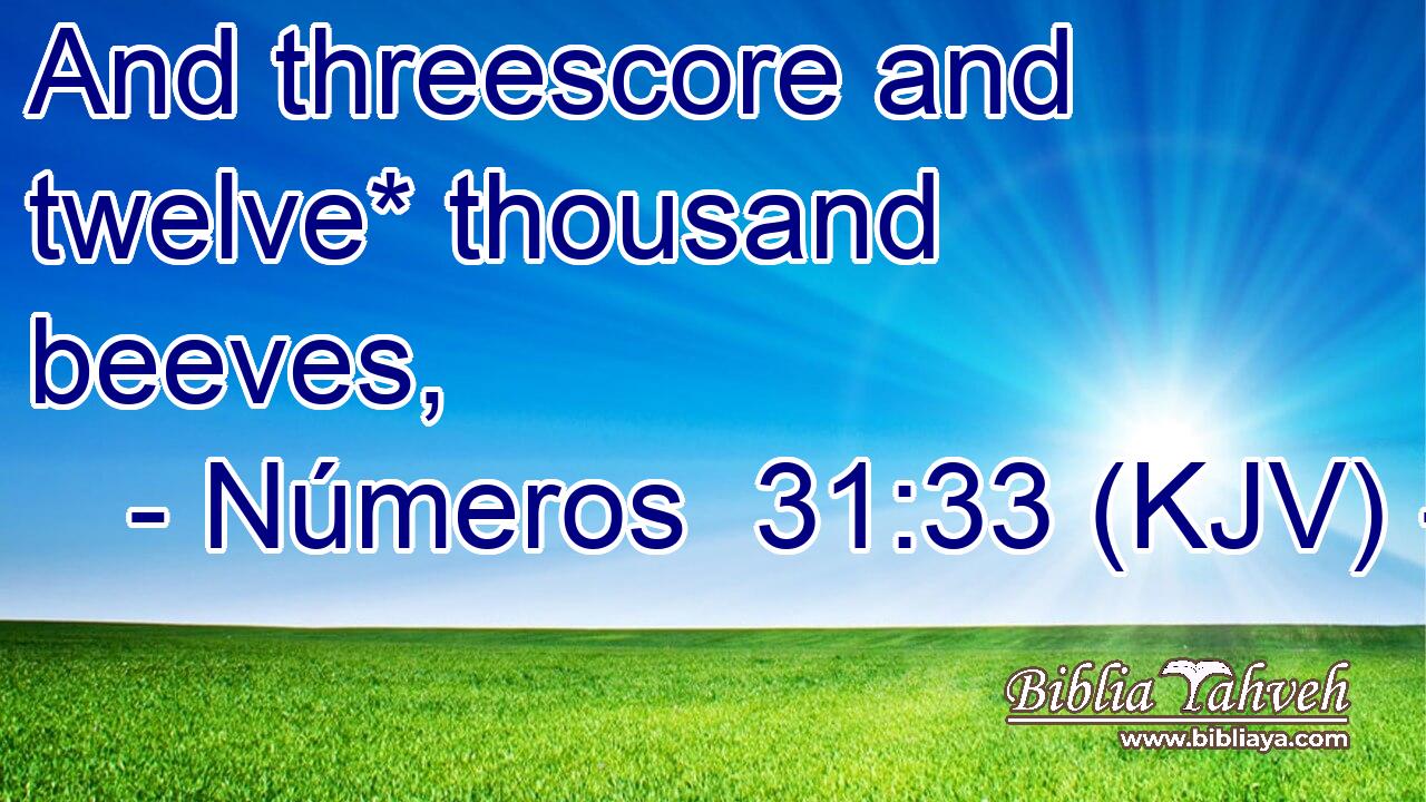 And threescore and twelve* thousand beeves,