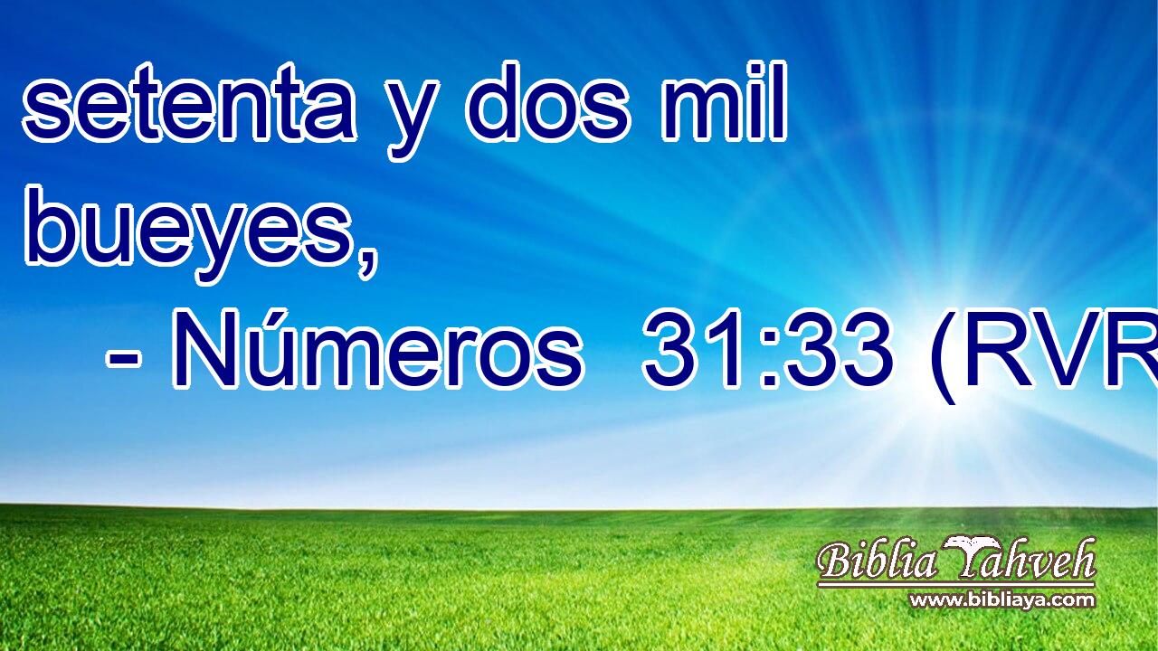 setenta y dos mil bueyes,