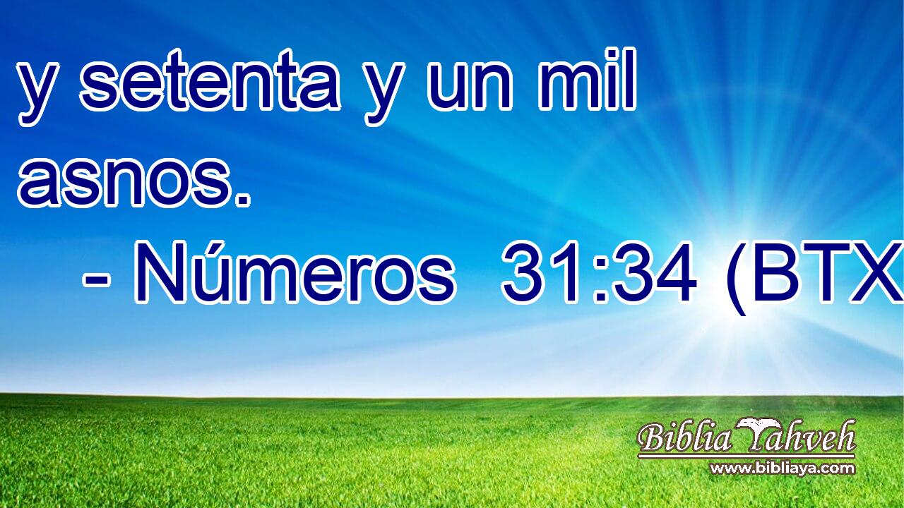 y setenta y un mil asnos.