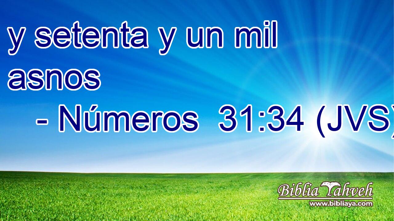 y setenta y un mil asnos