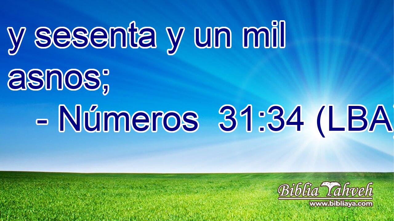 y sesenta y un mil asnos;