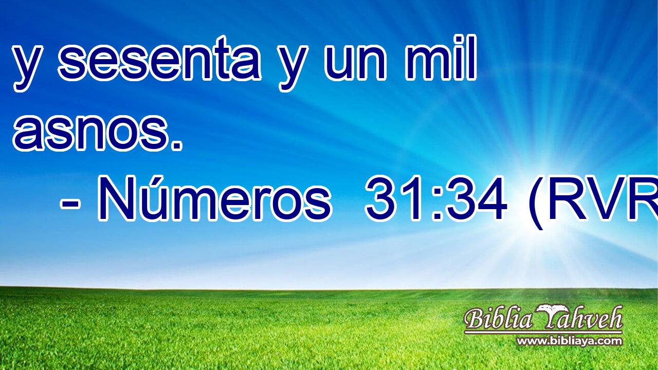 y sesenta y un mil asnos.