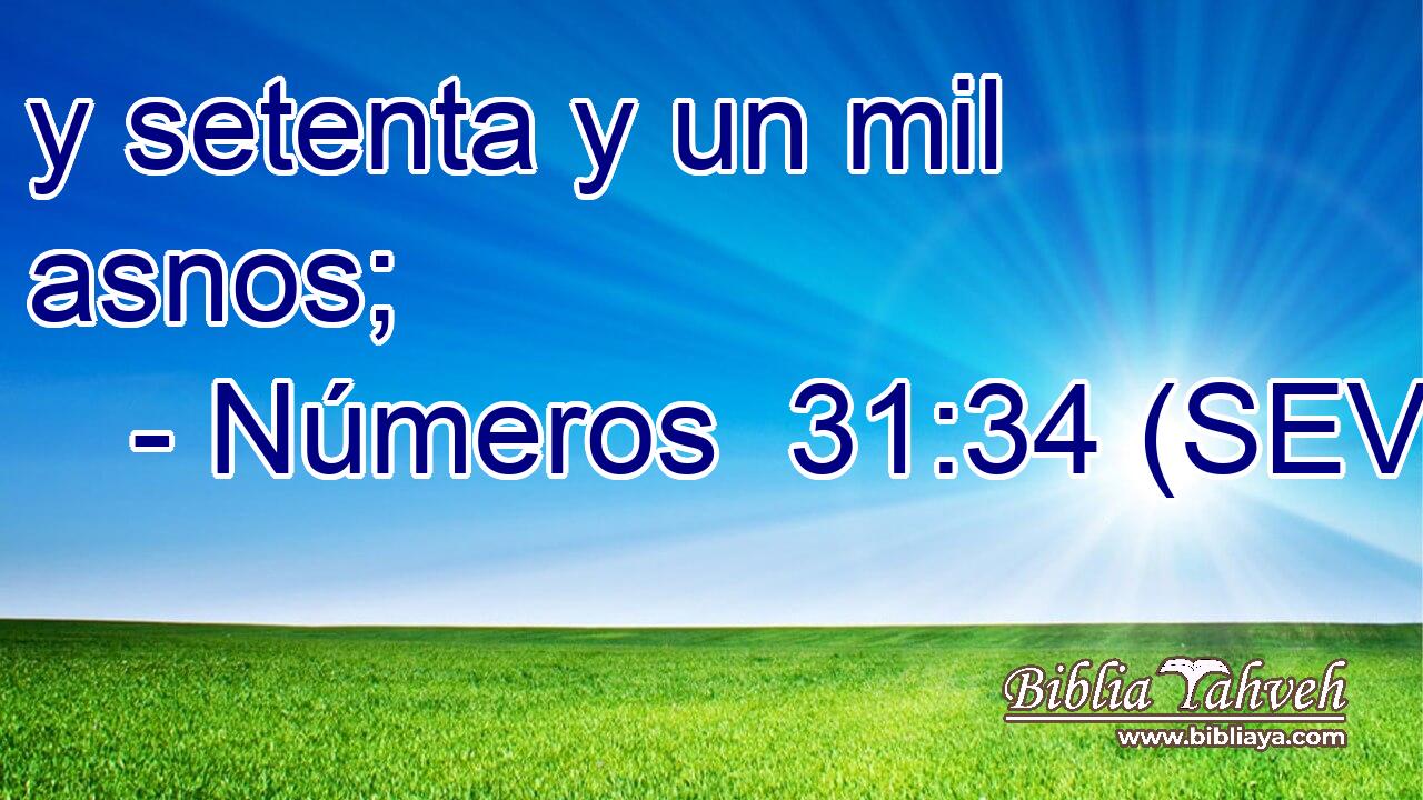 y setenta y un mil asnos;