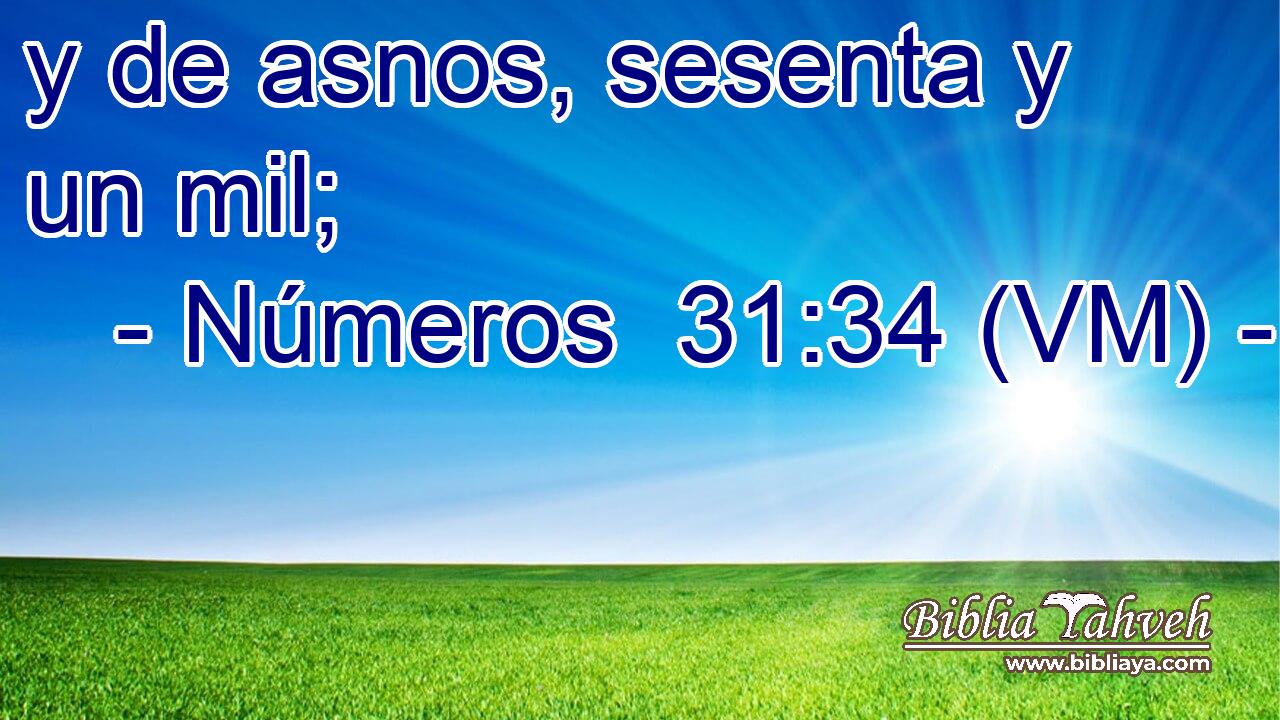  y de asnos, sesenta y un mil; 