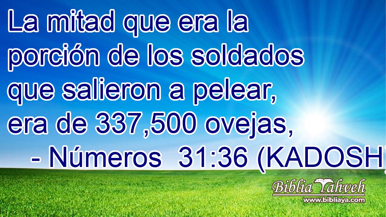  La mitad que era la porción de los soldados que salieron a pelear, era de 337,500 ovejas, 