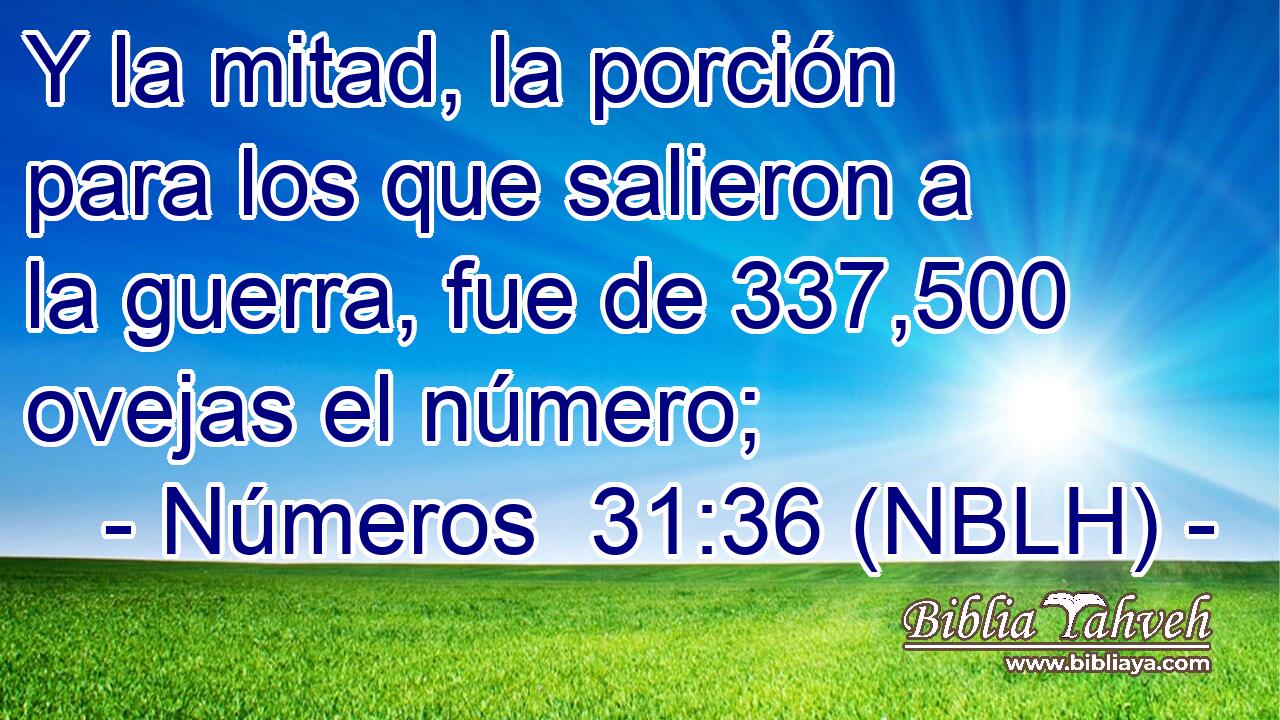  Y la mitad, la porción para los que salieron a la guerra, fue de 337,500 ovejas el número; 