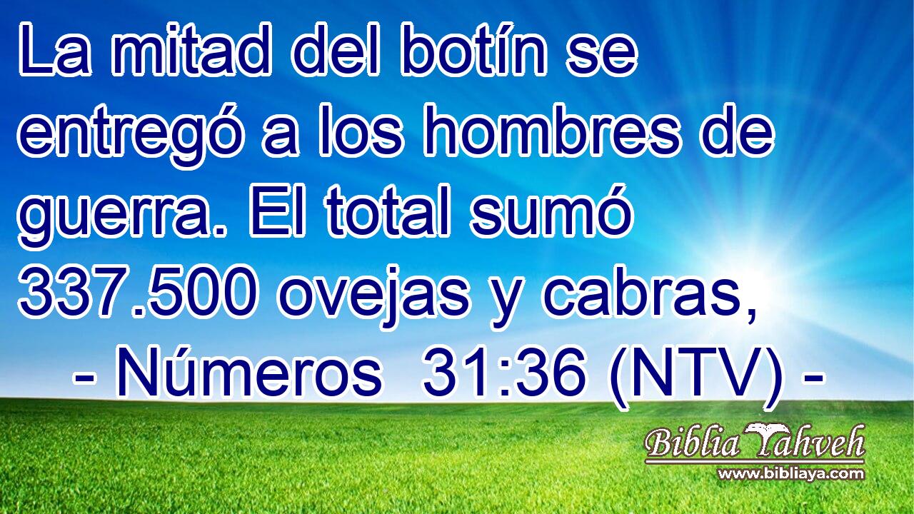La mitad del botín se entregó a los hombres de guerra. El total sumó 337.500 ovejas y cabras,