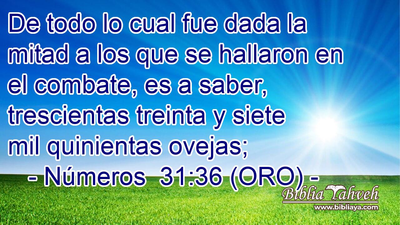  De todo lo cual fue dada la mitad a los que se hallaron en el combate, es a saber, trescientas treinta y siete mil quinientas ovejas; 