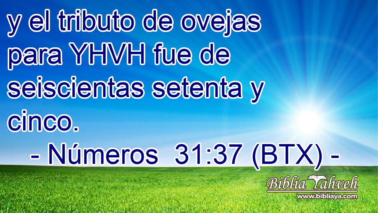y el tributo de ovejas para YHVH fue de seiscientas setenta y cinco.