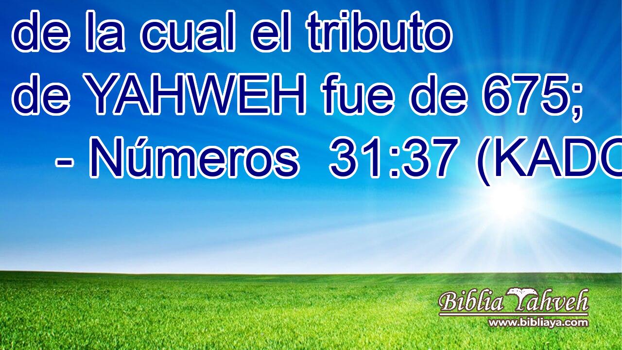  de la cual el tributo de YAHWEH fue de 675; 