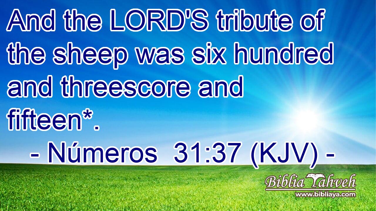 And the LORD'S tribute of the sheep was six hundred and threescore and fifteen*.