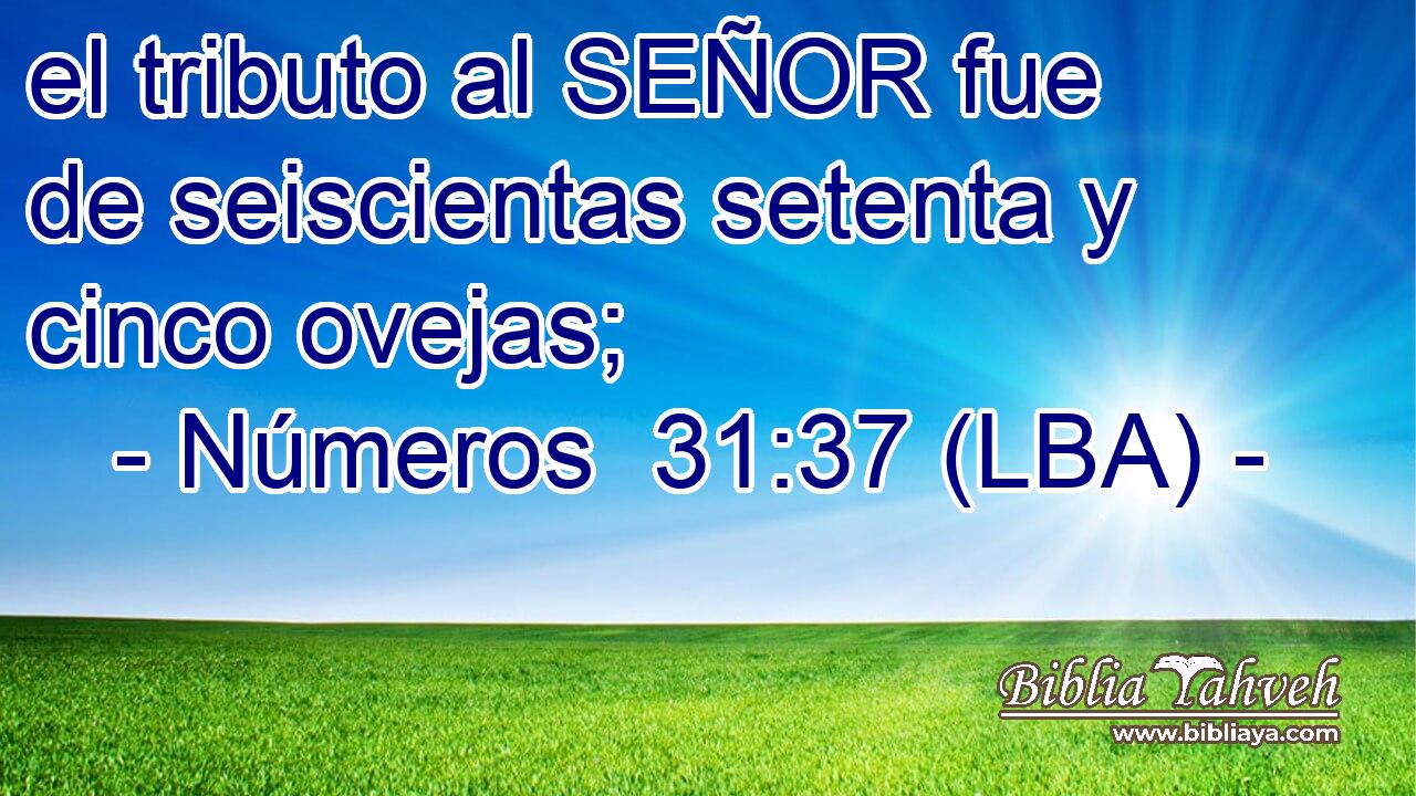 el tributo al SEÑOR fue de seiscientas setenta y cinco ovejas;